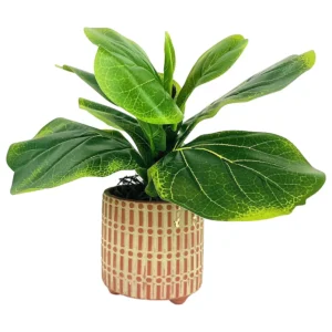 faux fig with terra cotta pot