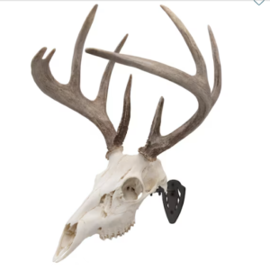 EZ Mount Skull Hanger, Fixed, Black